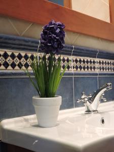 a purple flower in a white vase on a sink at La Casa De La Abuela in Ortigosa del Monte