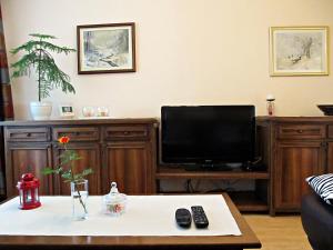 TV a/nebo společenská místnost v ubytování Apartment Ana