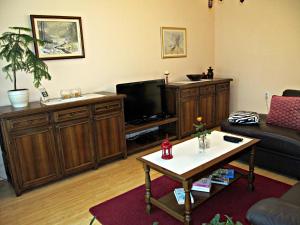 TV a/nebo společenská místnost v ubytování Apartment Ana