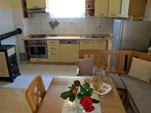 Kuchyň nebo kuchyňský kout v ubytování Apartment Ana