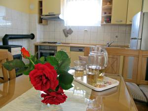 Kuchyň nebo kuchyňský kout v ubytování Apartment Ana