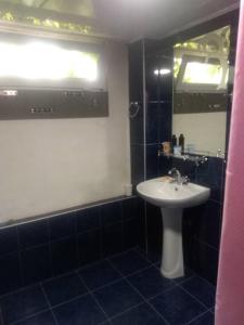 Koupelna v ubytování Guesthouse AISI in Lagodekhi