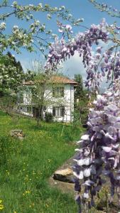 Сад в B&B Al Mutpron