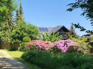 a garden with pink flowers in front of a house at Ferienwohnung Will in Walkenried