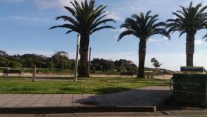 A garden outside Península de la paz