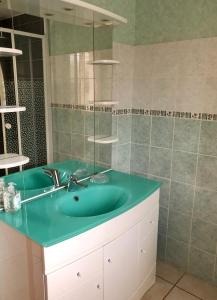uma casa de banho com um lavatório azul e um espelho. em Gite De La Mortagne em Mortagne