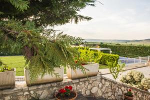 een rij potplanten op een stenen muur bij Miramurgia B&B in Gravina in Puglia