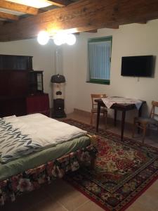 een slaapkamer met een bed, een tafel en een televisie bij Farm house in Domaszék