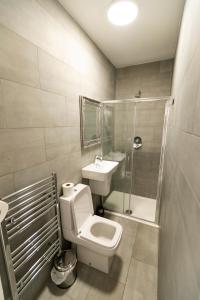 La salle de bains est pourvue de toilettes, d'un lavabo et d'une douche. dans l'établissement Euro Hotel, à Londres