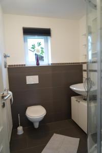 a bathroom with a toilet and a sink and a window at M&A Ferienwohnungen Oberbayern in Peiting