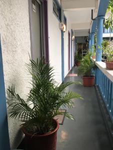 Fotografie z fotogalerie ubytování Coco Villa v destinaci Mahébourg