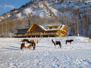 Williston Lake Resort during the winter