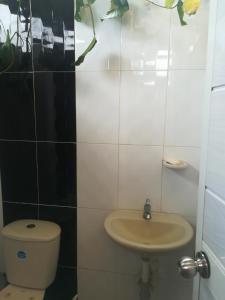 a bathroom with a toilet and a sink at Posada El Acuario in Bahía Solano