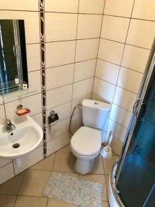 a small bathroom with a toilet and a sink at Pokoje z łazienkami - DZIWNÓWEK in Kamień Pomorski