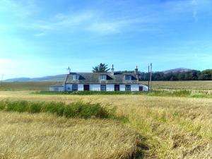 Ein weißes Haus mitten auf einem Feld in der Unterkunft Powillimount Cottage in Kirkbean + 27 Fotos