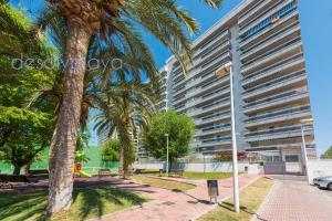 a palm tree in front of a tall building at desolyplaya Colomeras 2J in Oropesa del Mar