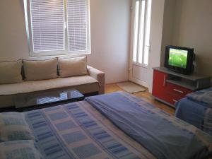 A television and/or entertainment centre at City Center Apartments Ohrid