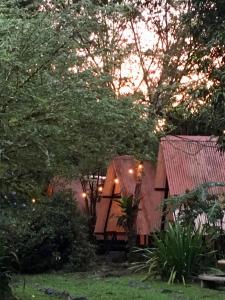 Jardín al aire libre en Los Mineros Guesthouse