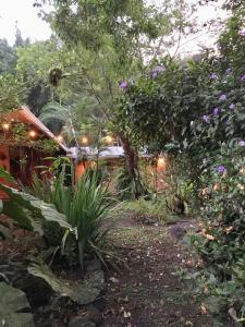 Jardín al aire libre en Los Mineros Guesthouse