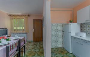 Kuchyň nebo kuchyňský kout v ubytování Apartments Rajko