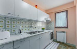 Kuchyň nebo kuchyňský kout v ubytování Apartments Rajko