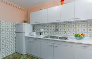 Kuchyň nebo kuchyňský kout v ubytování Apartments Rajko