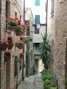 フェルモにあるLa casetta a Torre di Palmeの鉢植えの旧市街の路地
