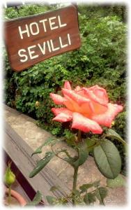 Fotografie z fotogalerie ubytování Hotel Sevilli v destinaci Agios Ioannis Pelio