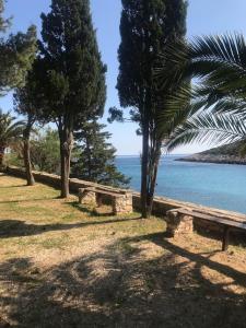 a park with benches and trees near the water at Resort Village T.N. Milna in Vis