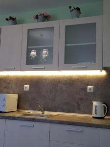 A kitchen or kitchenette at Sea Garden Delux