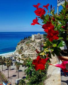a view of a beach with red flowers at Il Cremino in Tropea