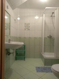 a bathroom with a sink and a shower at U Bafii in Gliczarów