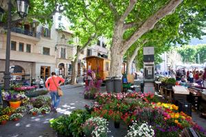 Hosté ubytování Can Moragues de Soller