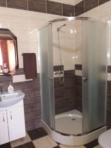 ムカチェヴォにあるAmetistのバスルーム(シャワー、トイレ、シンク付)