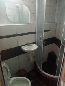 La petite salle de bains est pourvue de toilettes et d'un lavabo. dans l'établissement Kibar, à Ohrid