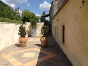 Bourg-sur-GirondeVilla Bacchus的相册照片