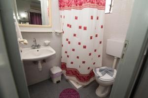 łazienka z umywalką, toaletą i zasłoną prysznicową w obiekcie Vasilakis Studios & Apartments w mieście Stalida