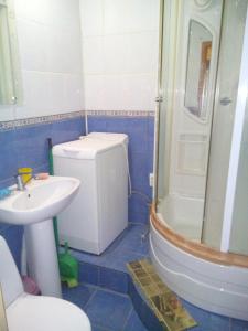 La salle de bains est pourvue d'un lavabo, de toilettes et d'une douche. dans l'établissement Apartment on Prospekt Peremogi, à Tchernihiv