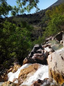 una corriente de agua con rocas y árboles en Las Parras en Rute
