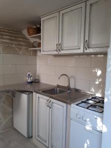 Kuchyň nebo kuchyňský kout v ubytování Apartman Igor