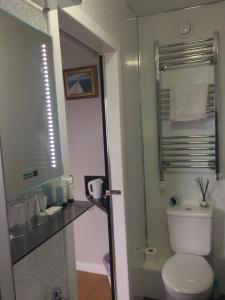 a bathroom with a toilet and a sink at Lochalsh View en suite Kyle near Skye in Kyle of Lochalsh