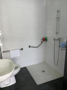 a bathroom with a shower and a toilet and a sink at Alojamiento Jose Carlos in Málaga
