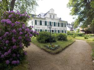 una casa blanca con flores púrpuras delante de ella en Kurheim Haus Linde en Bad Elster