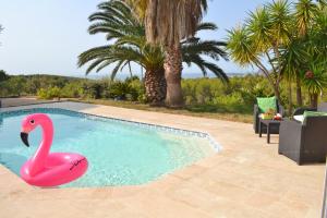 Der Swimmingpool an oder in der Nähe von Gîte Vue Mer