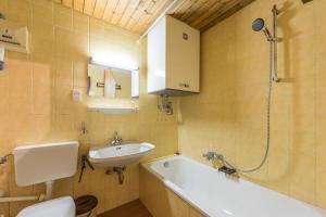 Vannituba majutusasutuses Ski- und Wander Appartements Schiffer