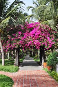 Afbeelding uit fotogalerij van Saigon Mui Ne Resort in Mũi Né