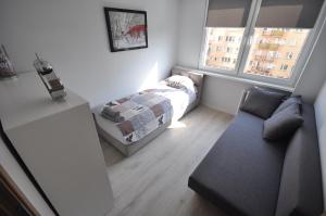 カリシュにあるJDK Apartamenty Podmiejska 38m2 5-osobowyの小さなリビングルーム(ソファ、ベッド付)