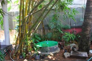 Zahrada ubytování Adams Wood House Ayurveda Homestay Kochi