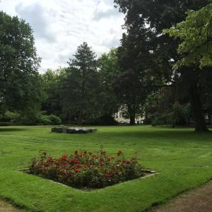 um campo verde com um arbusto com flores vermelhas em Exclusives Wohnen im Centrum Oldenburgs em Oldenburg