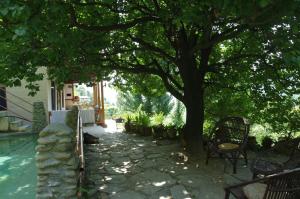 Zahrada ubytování Orchard Huts